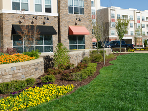 commercial landscaping