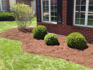 landscaping