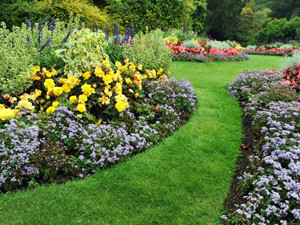 landscaping